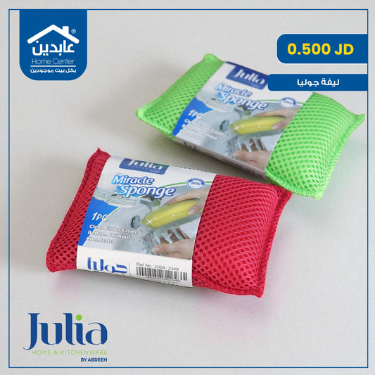 Julia cleaning sponge