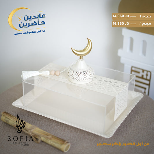 مضيفة معدن بغطاء