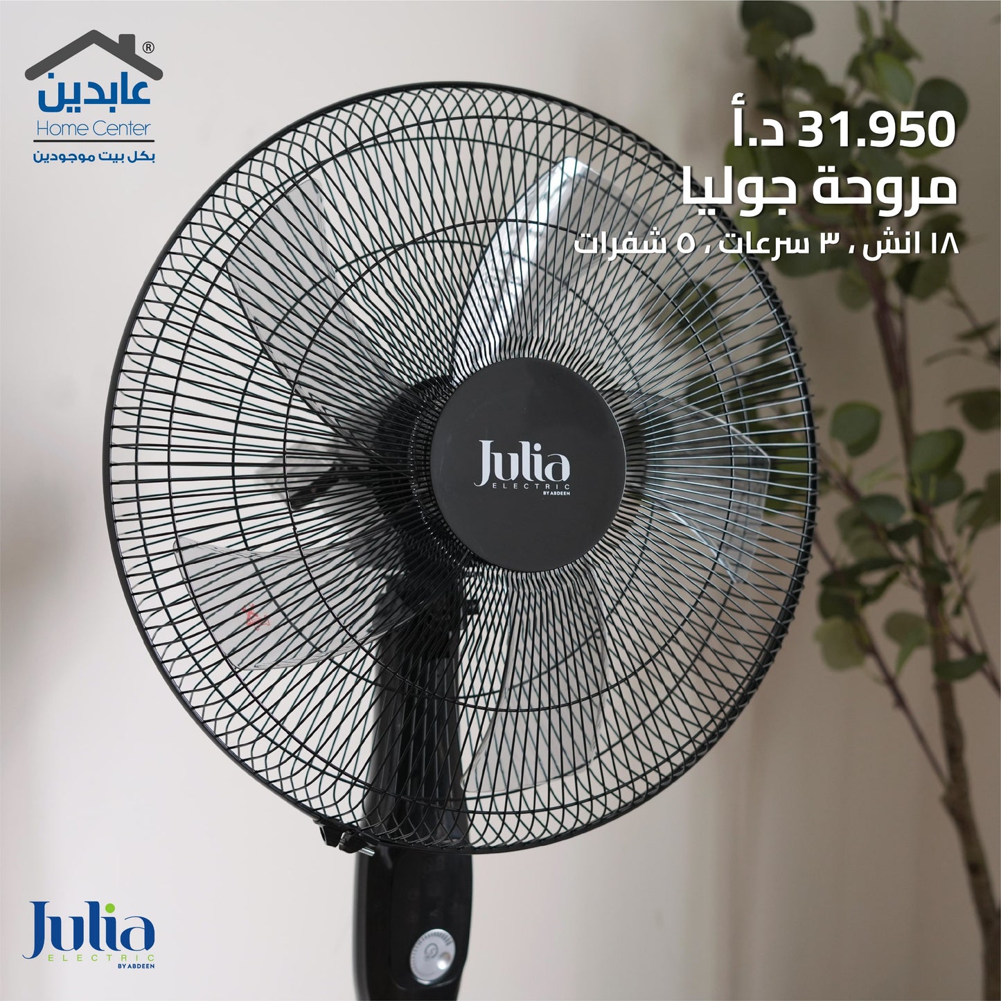 Julia's Fan