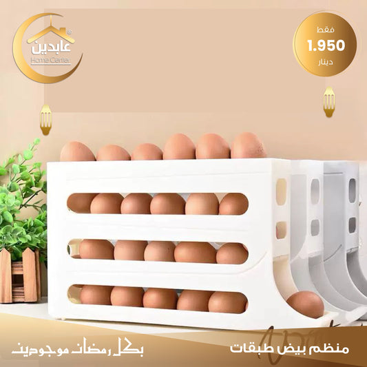 Egg organizer