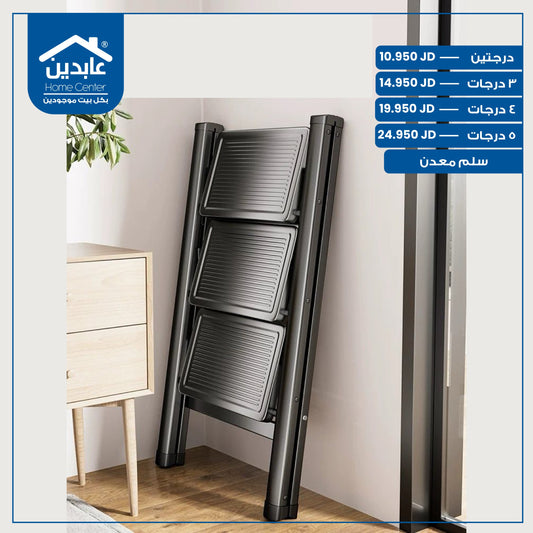 Metal ladder