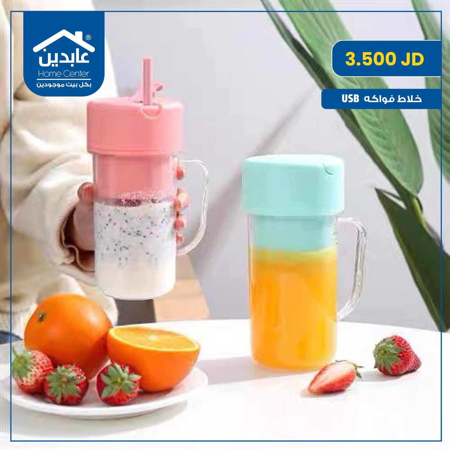 USB fruit blender