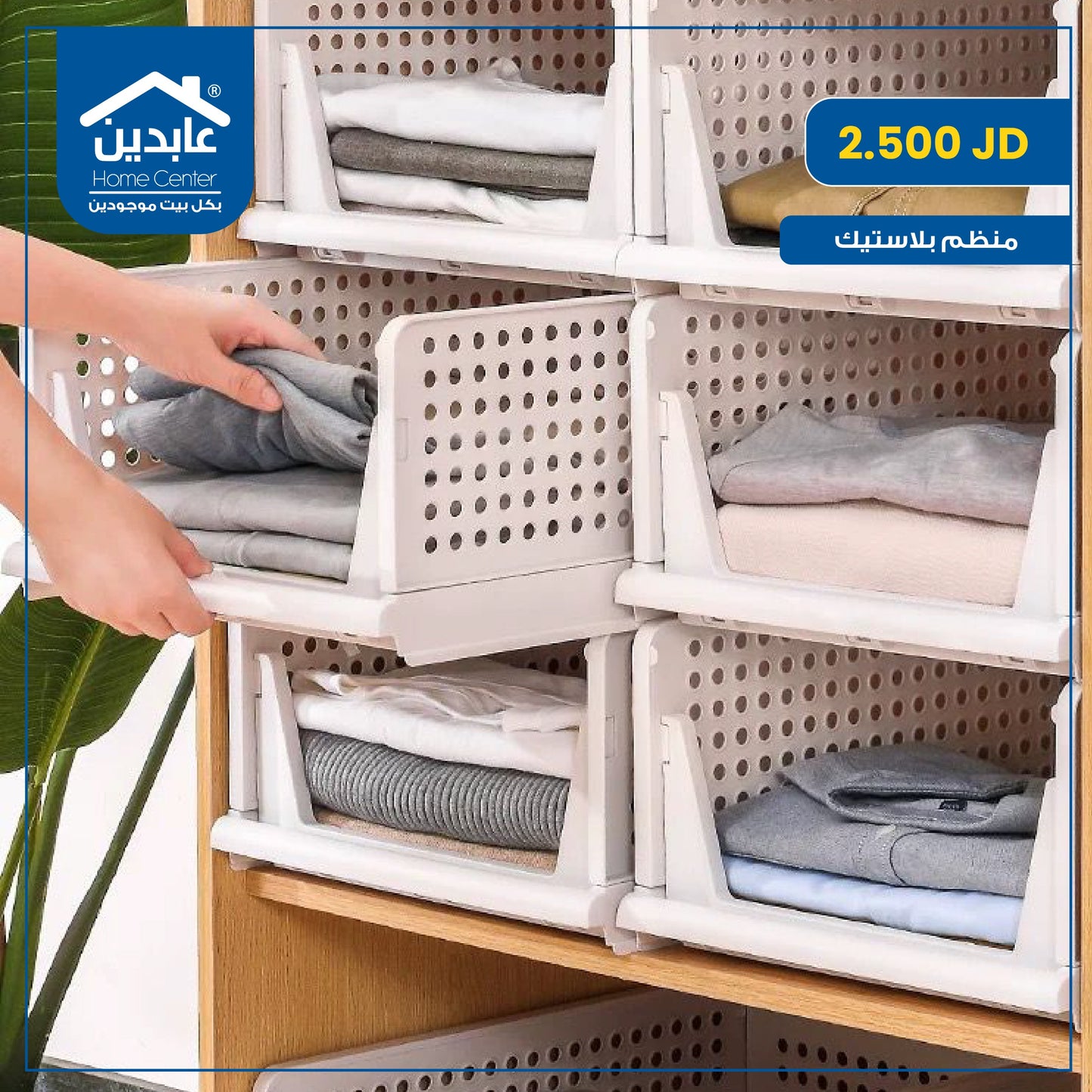 Plastic organizer