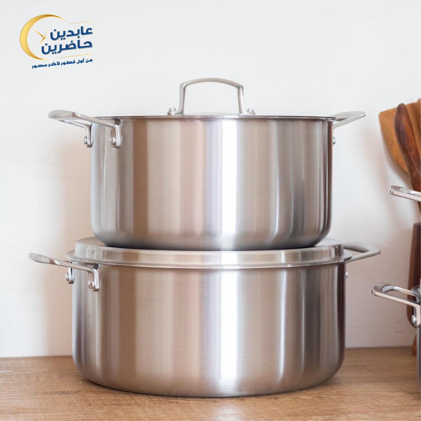 Royal Stainless Steel Pots Set
