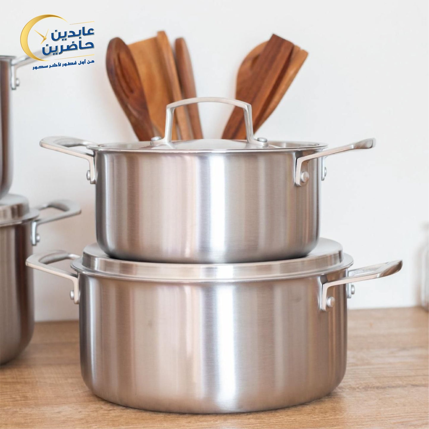 Royal Stainless Steel Pots Set