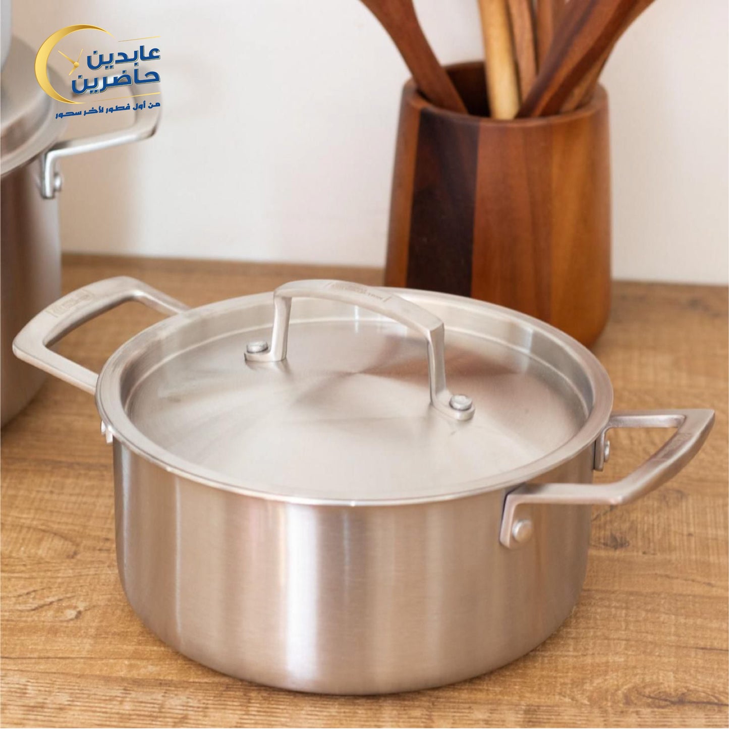 Royal Stainless Steel Pots Set