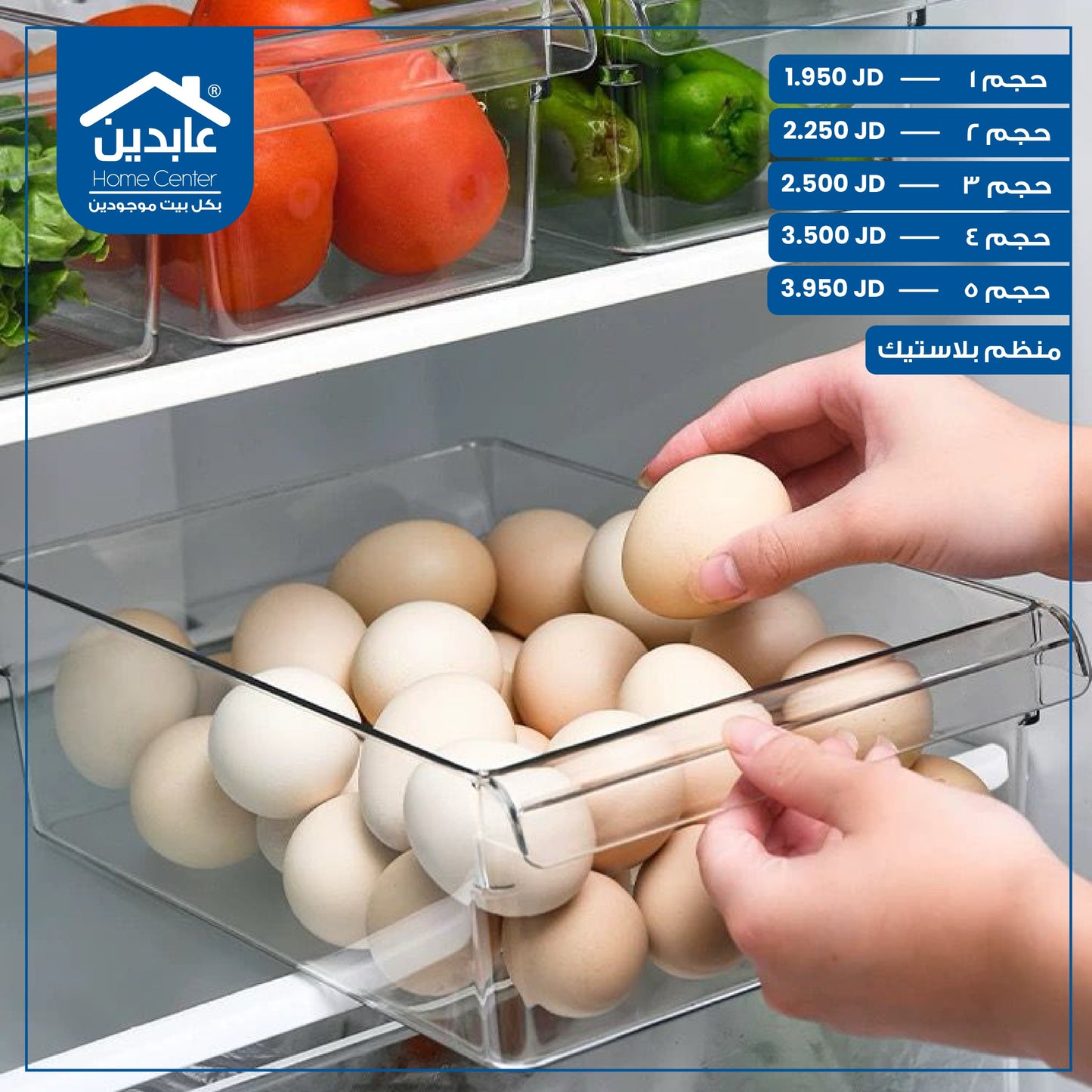 Plastic organizer
