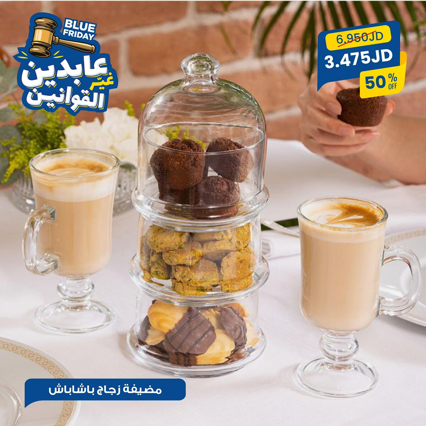 مضيفة زجاج باشاباش