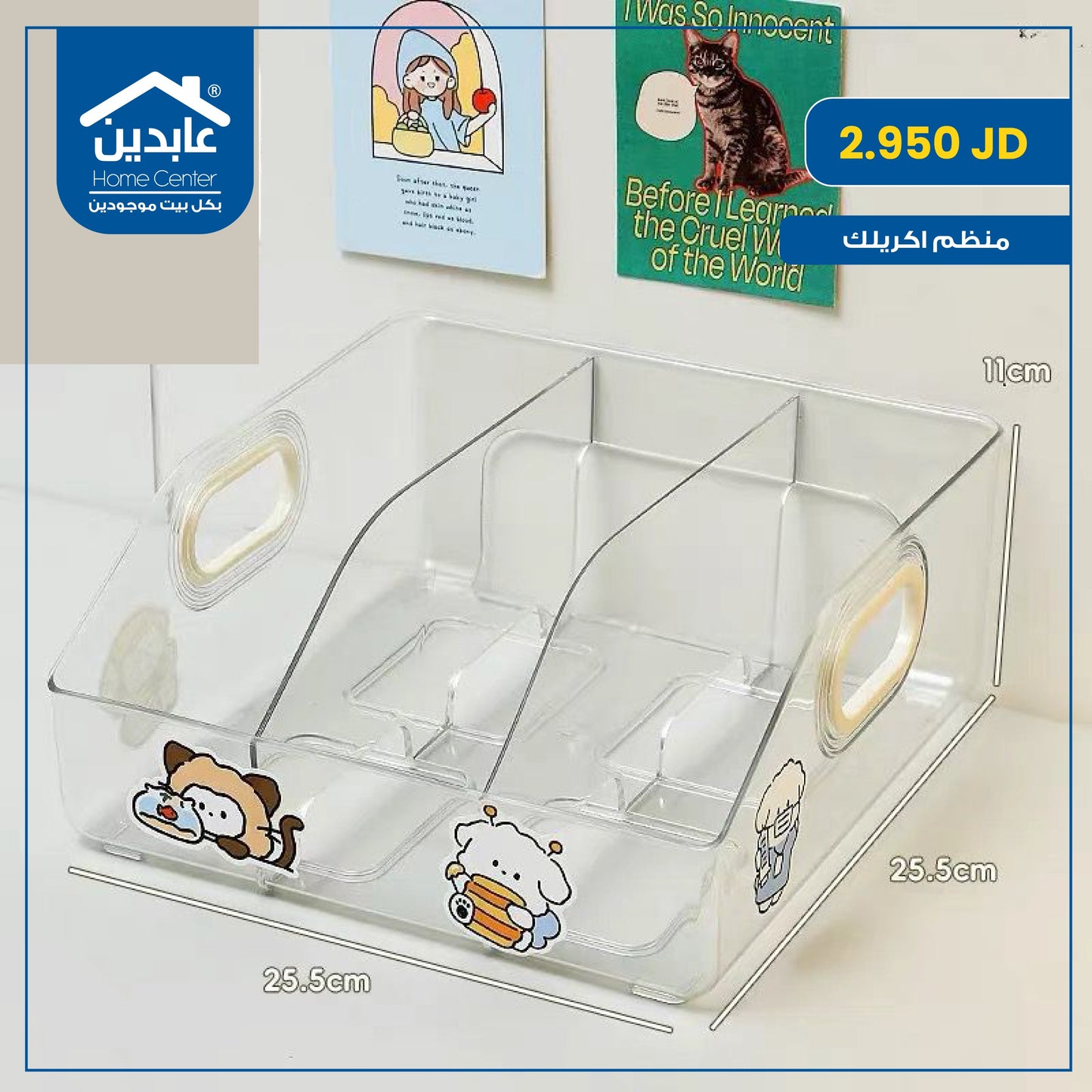 Acrylic Organizer