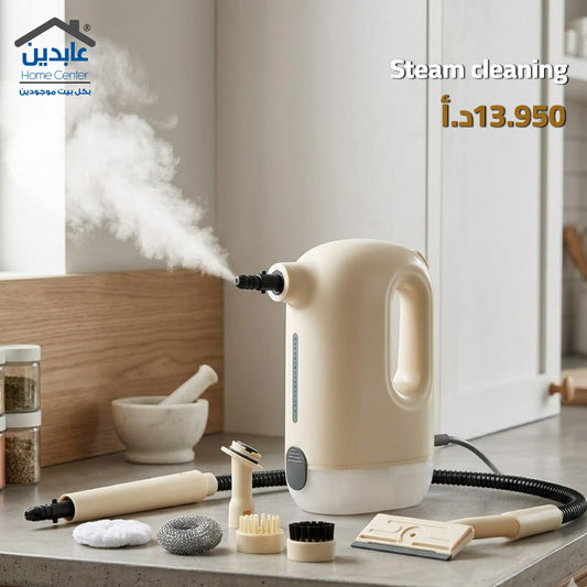 Steam cleaner