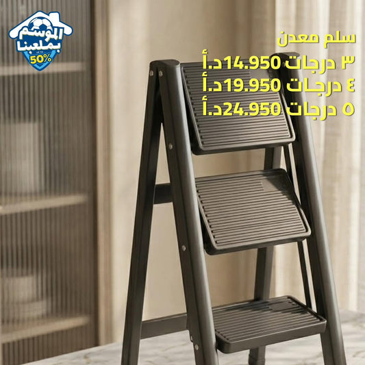 Metal ladder