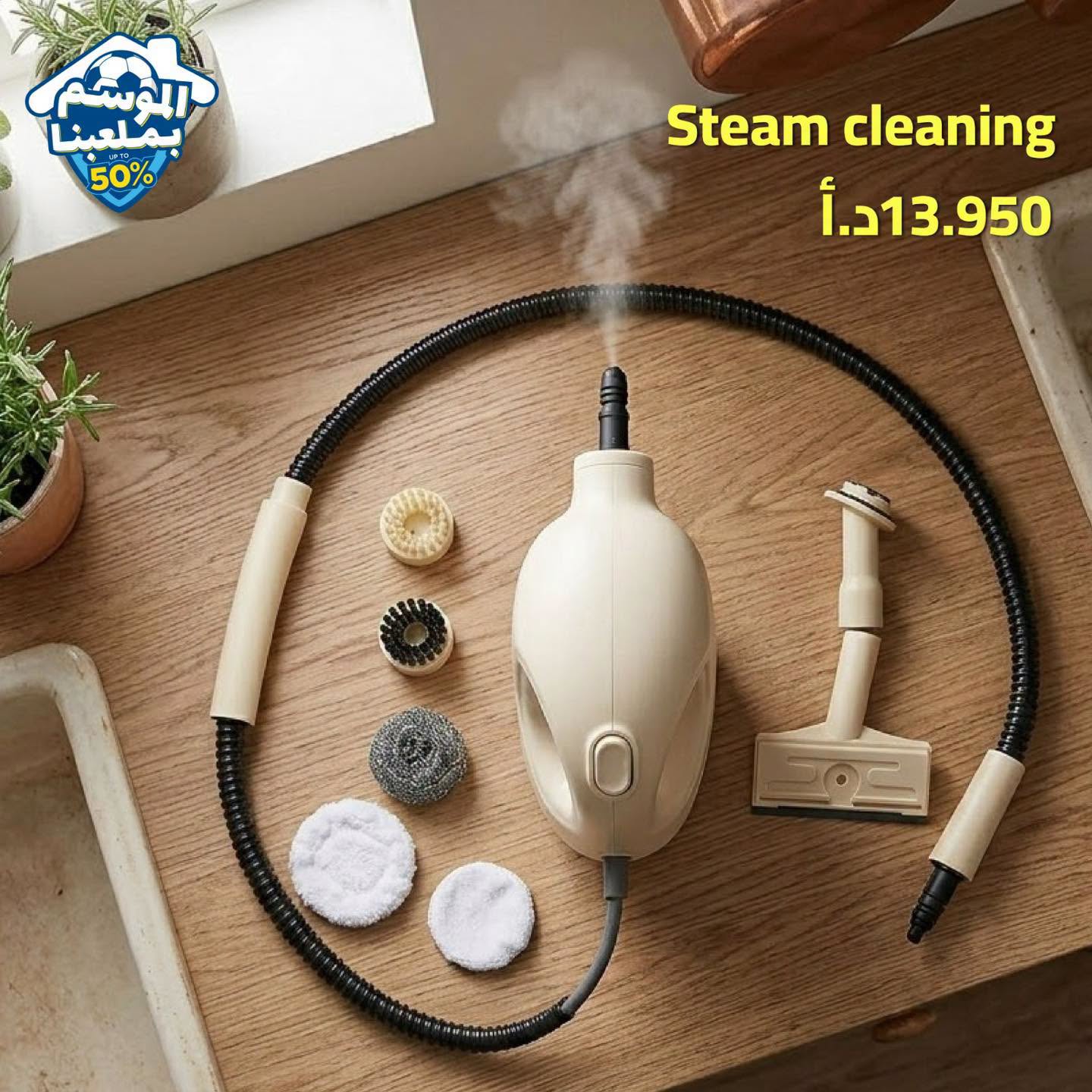 steam cleaning machine