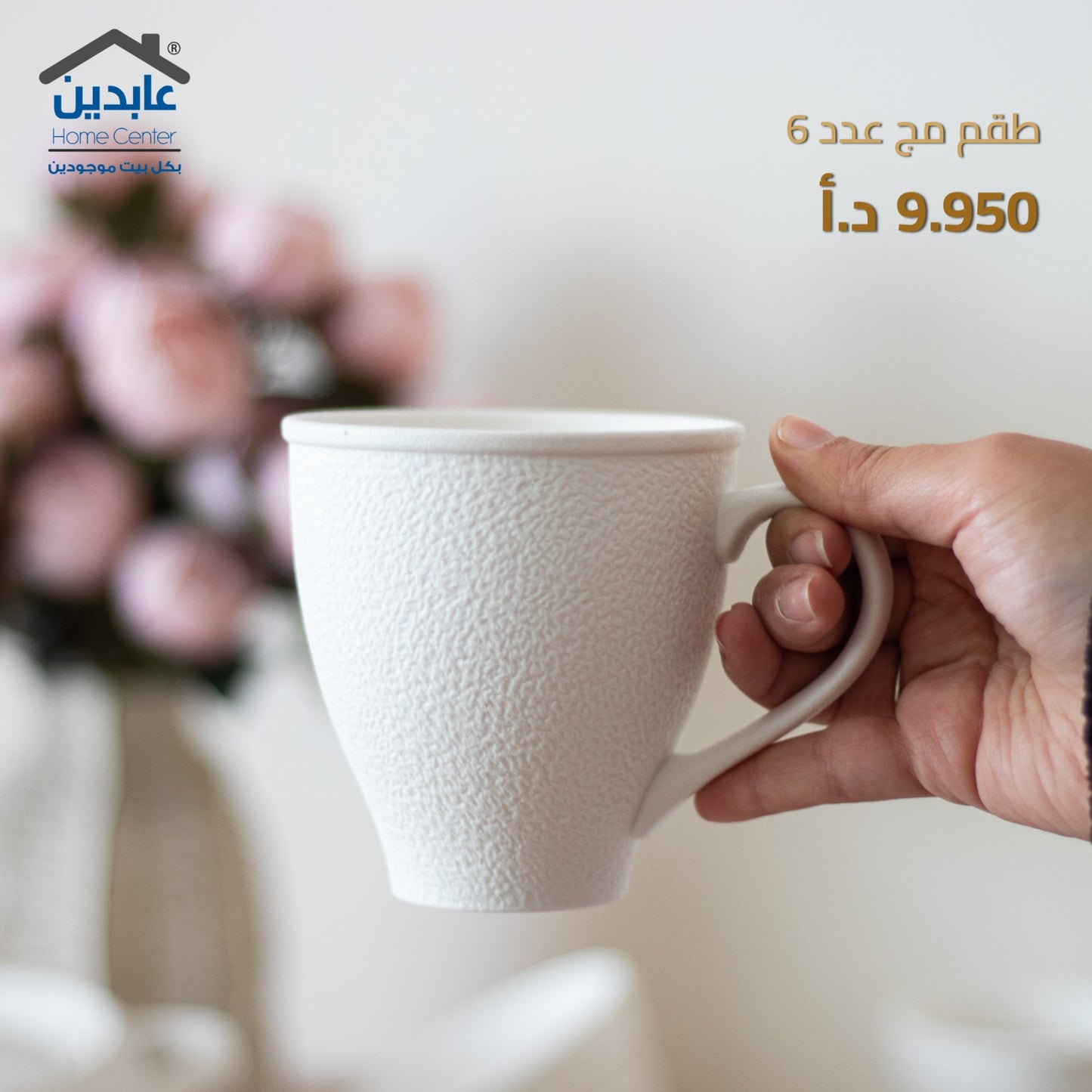 طقم مج عدد 6