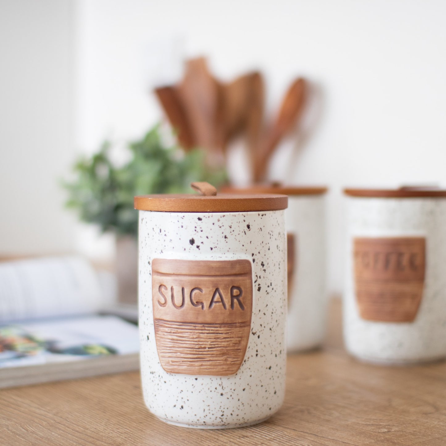 Porcelain spice set