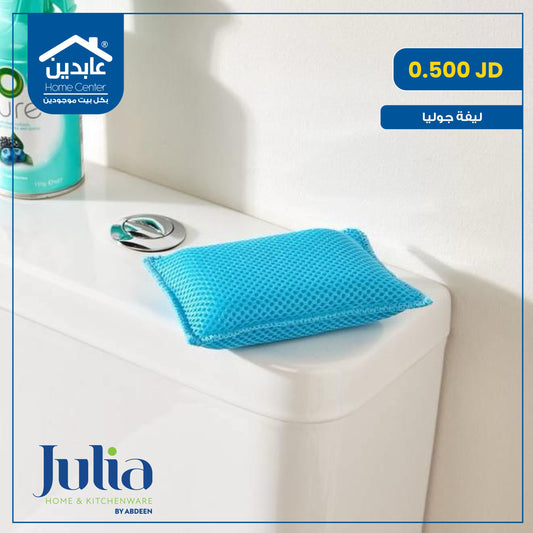 Julia cleaning sponge