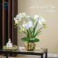 Artificial Orchid Pot