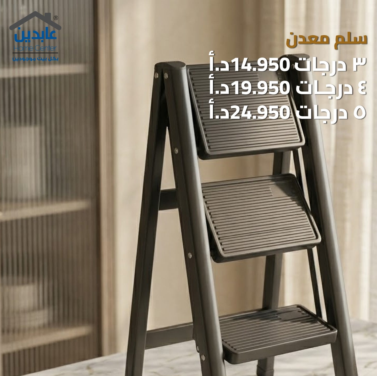 Metal ladder
