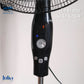 Julia's Fan