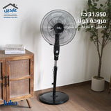 Julia's Fan