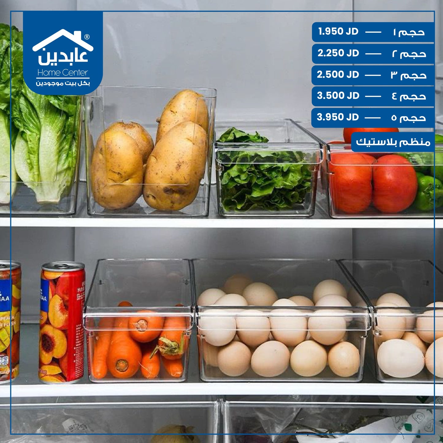 Plastic organizer