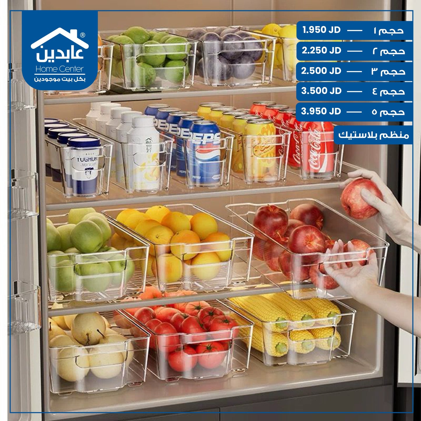 Plastic organizer