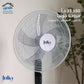 Julia's Fan