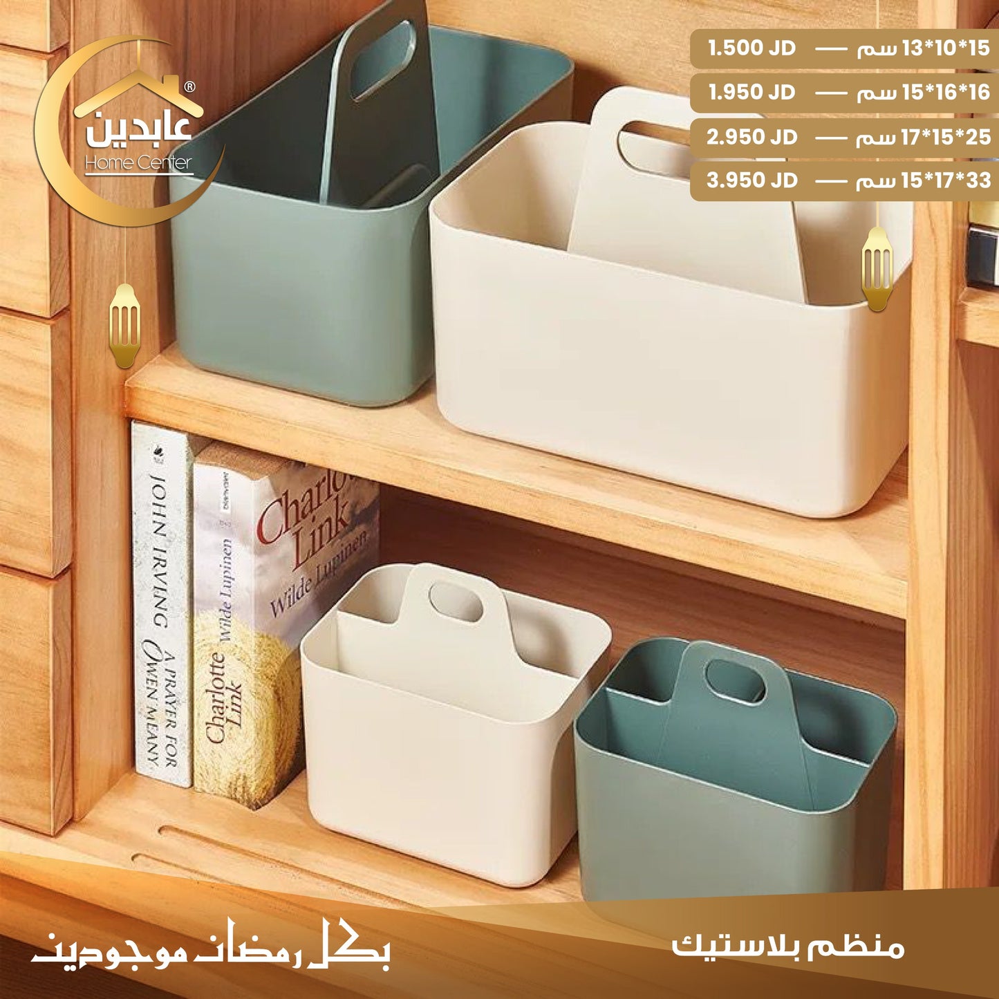 Plastic organizer