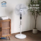 Julia's Fan