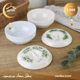 Melamine plate